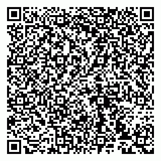 vCard 79993833045
