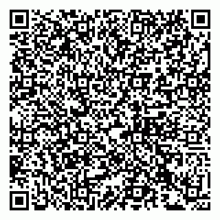 vCard 79993833048