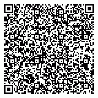 vCard 79993833052