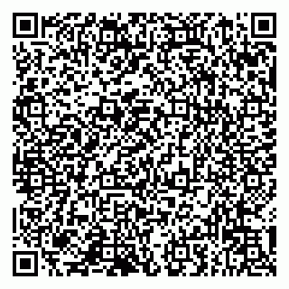vCard 79993833055