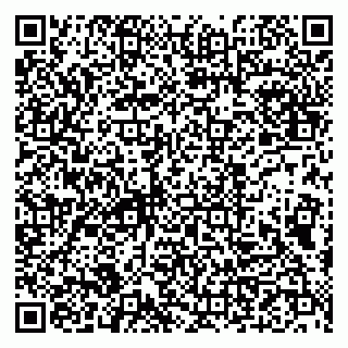 vCard 79993833056