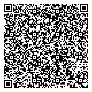 vCard 79993833058