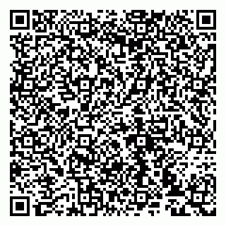 vCard 79993833059