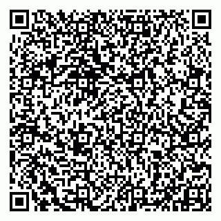vCard 79993833060