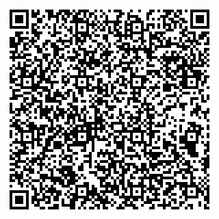 vCard 79993833061