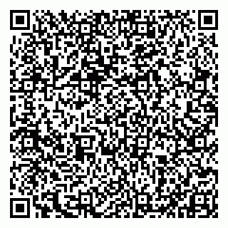 vCard 79993833062