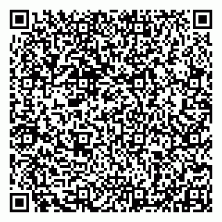 vCard 79993833064