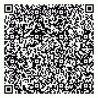 vCard 79993833066