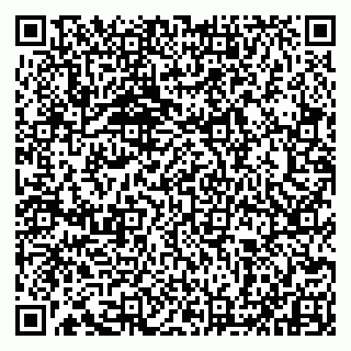 vCard 79993833067