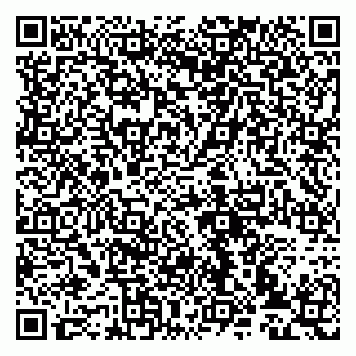 vCard 79993833068
