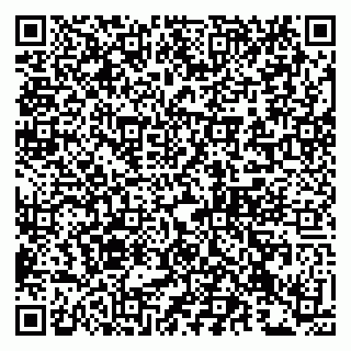 vCard 79993833069