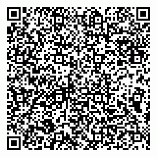 vCard 79993833070