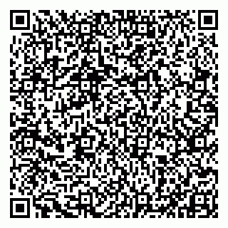 vCard 79993833074