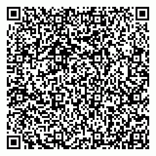 vCard 79993833075