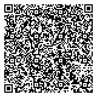 vCard 79993833077