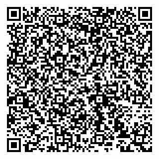 vCard 79993833078