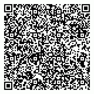 vCard 79993833080