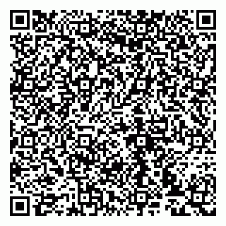 vCard 79993833082