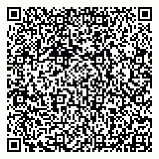 vCard 79993833083