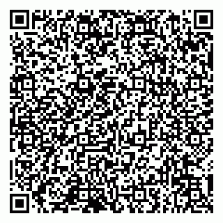 vCard 79993833084