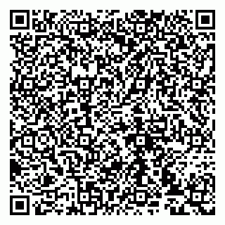 vCard 79993833088