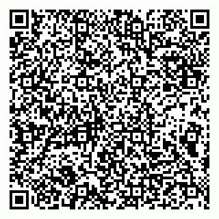 vCard 79993833089