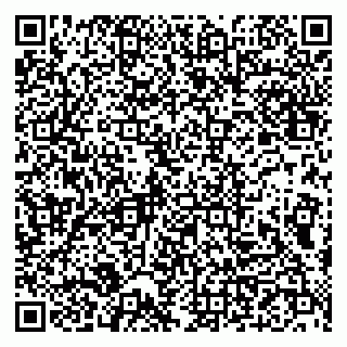 vCard 79993833090