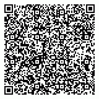 vCard 79993833091
