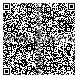 vCard 79993833092