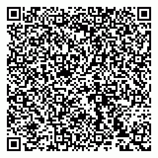 vCard 79993833093
