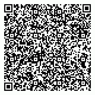 vCard 79993833095