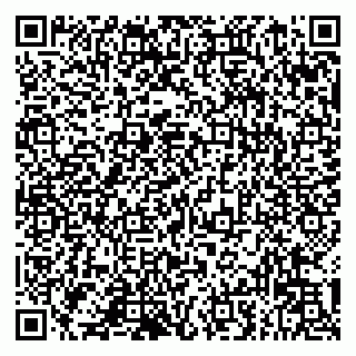 vCard 79993833097