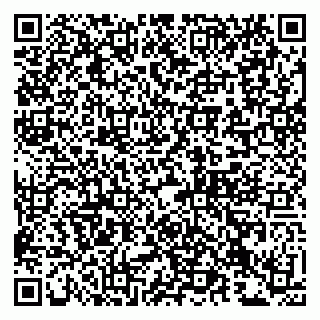 vCard 79993833098