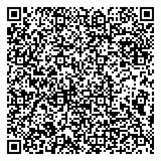 vCard 79993833100