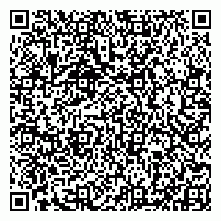 vCard 79993833103