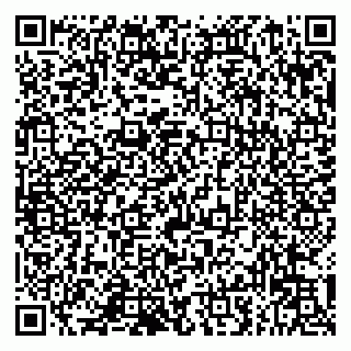 vCard 79993833105