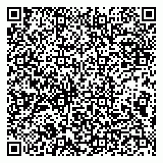 vCard 79993833107