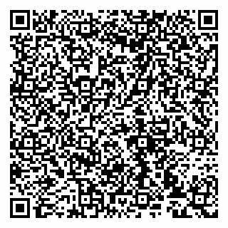 vCard 79993833108