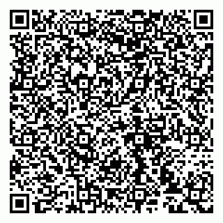 vCard 79993833109