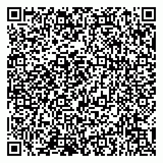 vCard 79993833110
