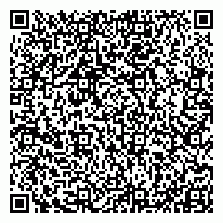 vCard 79993833111