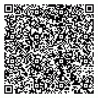 vCard 79993833113