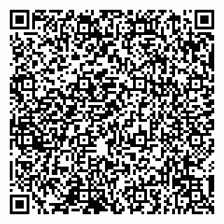 vCard 79993833114