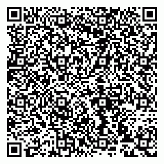 vCard 79993833117