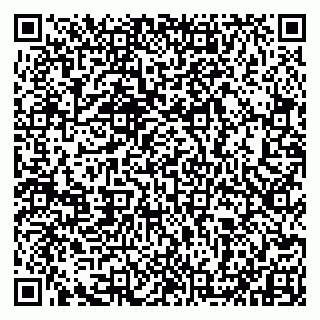 vCard 79993833119