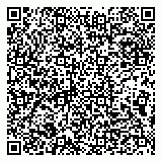 vCard 79993833123
