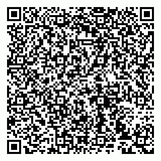 vCard 79993833125