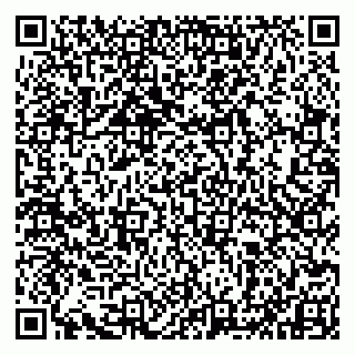 vCard 79993833128