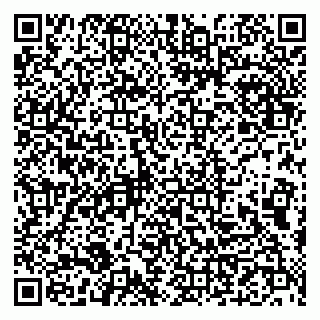 vCard 79993833129