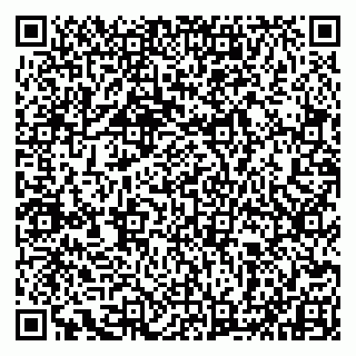 vCard 79993833132
